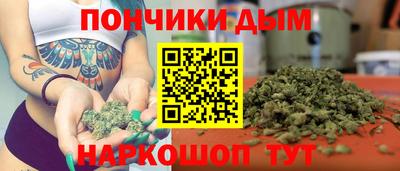 дмт Будённовск