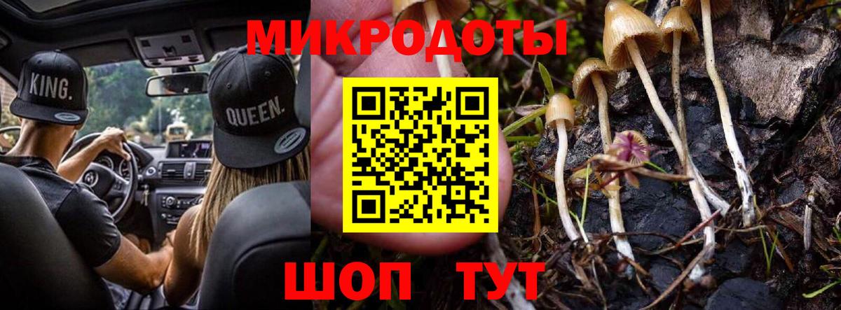 Галлюциногенные грибы Psilocybe  хочу наркоту  Псилоцибиновые грибы Psilocybe  Коммунар  Вход с VPN 